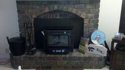 Century CW2500 Fireplace Insert Review
