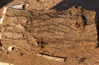[Hearth.com] Wood ID
