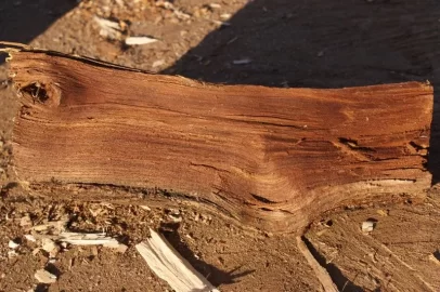 [Hearth.com] Wood ID