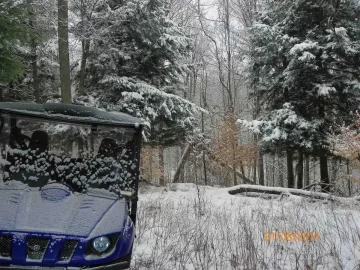 [Hearth.com] Trail Cleared to the Beech & Cherry