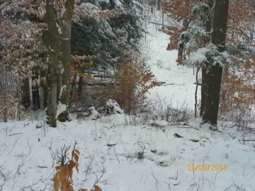 [Hearth.com] Trail Cleared to the Beech & Cherry