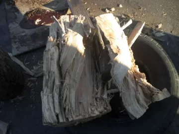 [Hearth.com] I picked up my repaired splitter the other day. (photos of some elm splits)