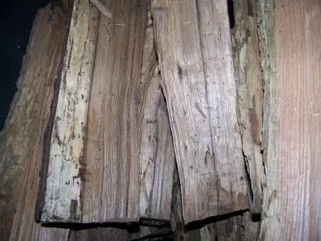 [Hearth.com] Dead wood with "cork-like" outer layer: Clean it off or leave it?