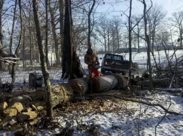 [Hearth.com] Cut 4 loads of Oak this weekend (pictures)