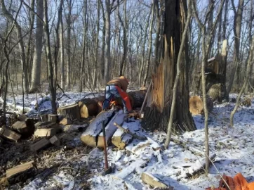 [Hearth.com] Cut 4 loads of Oak this weekend (pictures)