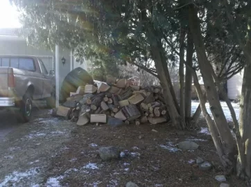 [Hearth.com] Cut 4 loads of Oak this weekend (pictures)