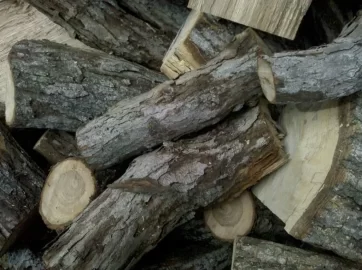 [Hearth.com] Cut 4 loads of Oak this weekend (pictures)