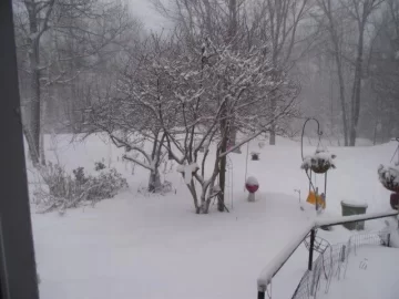 [Hearth.com] Is your BioMass heat staying inside for the big Nord'Eastor tomorrow with high winds with biter cold