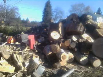 [Hearth.com] Out of Pine