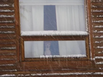 [Hearth.com] Ever Feel Like Your Being Watched ?