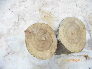 [Hearth.com] Dead Standing Cut,Split and Delivered