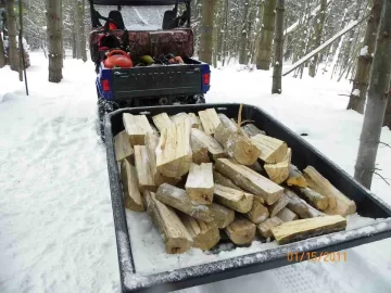 [Hearth.com] Dead Standing Cut,Split and Delivered