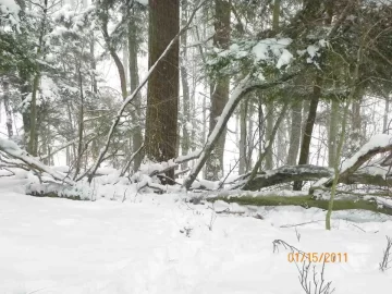 [Hearth.com] Beech Off The Hill