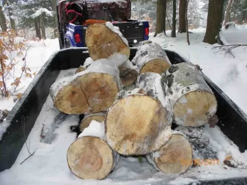 [Hearth.com] Beech Off The Hill