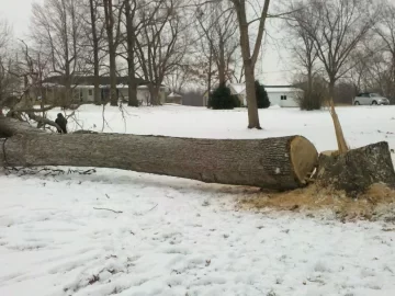[Hearth.com] More White Oak Today
