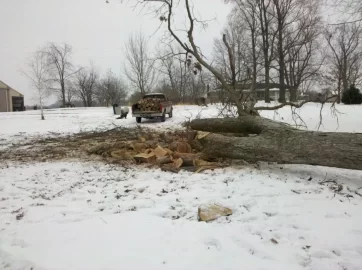 [Hearth.com] More White Oak Today