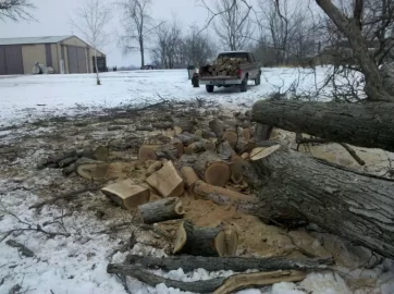 [Hearth.com] More White Oak Today