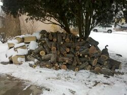 Wood pile.jpg