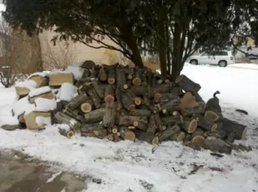 [Hearth.com] More White Oak Today