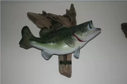 [Hearth.com] Big Bass-Large mouth
