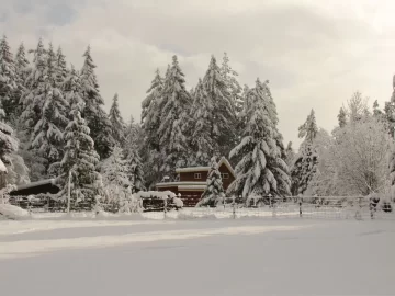 [Hearth.com] Post a pic of your place