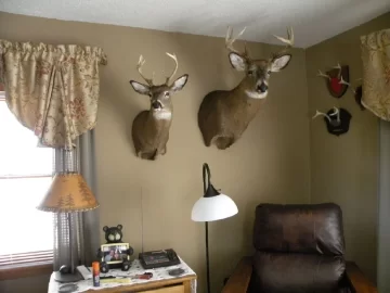 [Hearth.com] Got the buck back