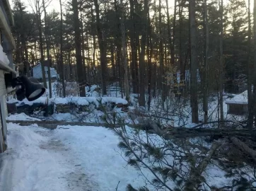 [Hearth.com] hired a tree service to drop some trees
