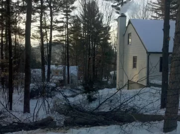 [Hearth.com] hired a tree service to drop some trees