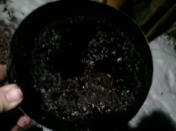 [Hearth.com] creosote