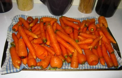 [Hearth.com] January harvest