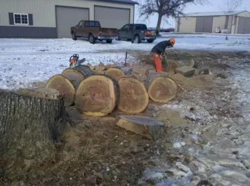 [Hearth.com] More White Oak Today
