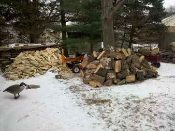 [Hearth.com] More White Oak Today