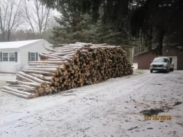 [Hearth.com] I heart log loads delivered!
