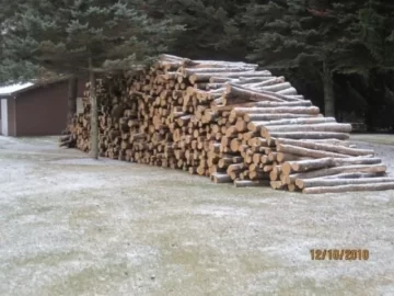 [Hearth.com] I heart log loads delivered!