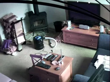 [Hearth.com] Checking on the stove from work...