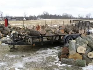 [Hearth.com] Some of my wood cutting the past 3 weeks