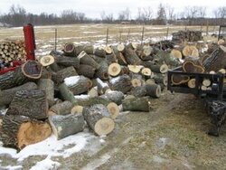 wood pile 005.jpg