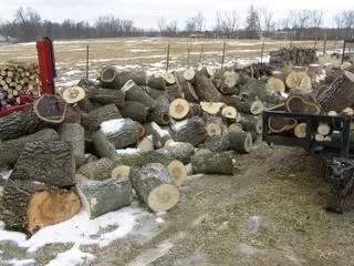 [Hearth.com] Some of my wood cutting the past 3 weeks