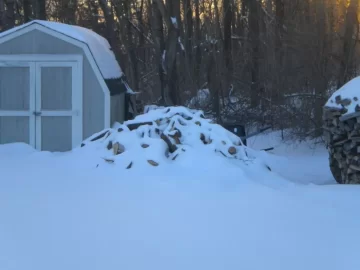 [Hearth.com] Jersey snow