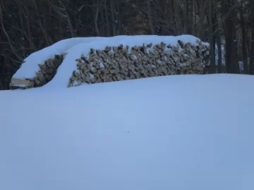 [Hearth.com] Jersey snow