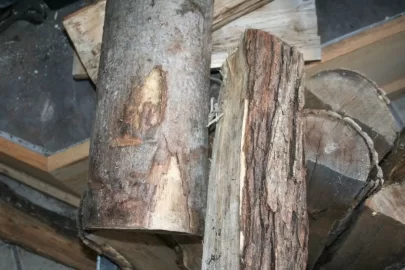 [Hearth.com] Another wood id thread