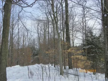 [Hearth.com] Finally Felled A Beech