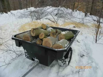 [Hearth.com] Finally Felled A Beech