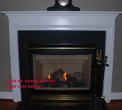 Decisions, need help which Natural gas fireplace?