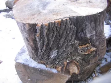 [Hearth.com] Wood Id Please,
