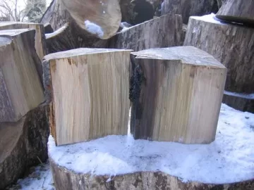 [Hearth.com] Wood Id Please,
