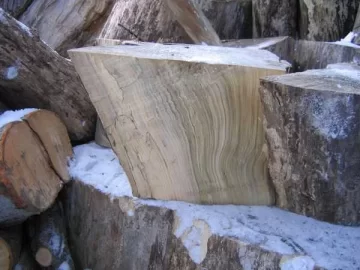 [Hearth.com] Wood Id Please,
