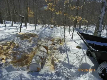 [Hearth.com] Next Beech Down and Out