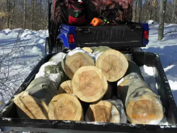 [Hearth.com] Next Beech Down and Out