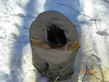 [Hearth.com] Next Beech Down and Out